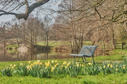 gardens - Lakeside Cottage - Cheshire cottages