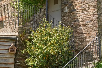 The exterior of Fern House, Devon