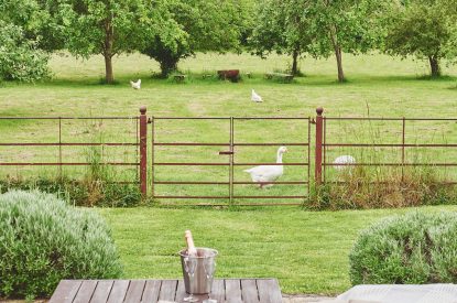 The garden and view at Apple Tree Cottage, Cotswolds