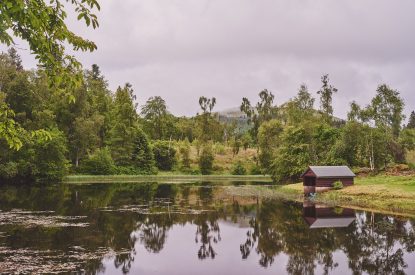 The garden at Glenshee House, Perthshire