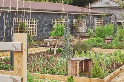 The gardens at Farmstay Retreat, Hampshire