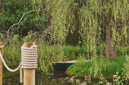 The gardens at Farmstay Retreat, Hampshire