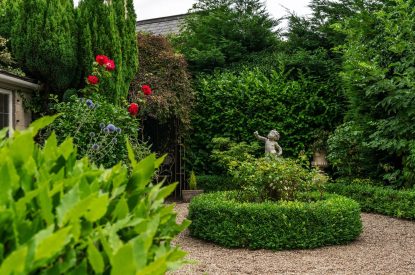 The private rose garden at Fig Tree Cottage, Cotswolds