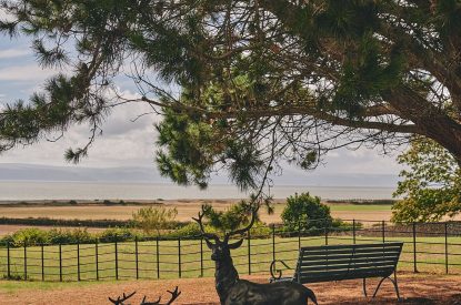 Sea views from the shared garden at Sunflower Cottage, Vale of Glamorgan