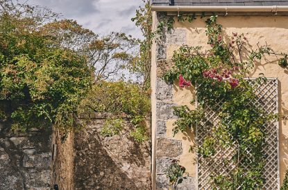 The seating area in the shared courtyard at Bamboo Cottage, Vale of Glamorgan