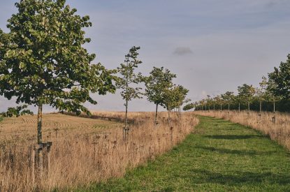 The countryside surrounding America Farm, Oxfordshire