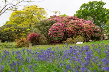 The garden at Cornish Castle, Cornwall