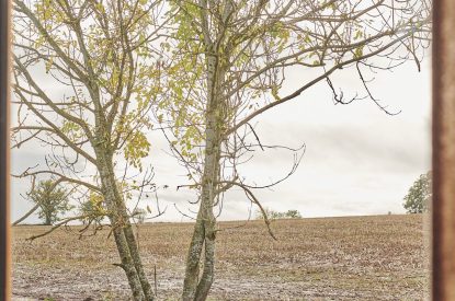 The view from Big Sky Hideaway, Herefordshire