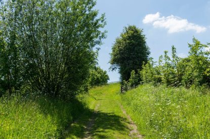 The grounds at Wood Cottage, Worcestershire