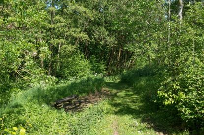 The grounds at The Old Mill, Worcestershire