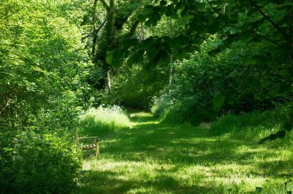 The grounds at The Old Mill, Worcestershire