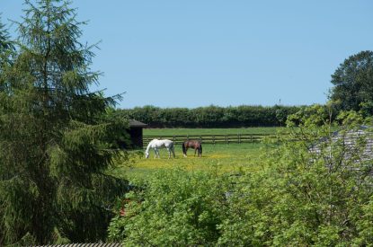 The grounds at The Old Mill, Worcestershire