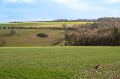 The countryside at Blacksmith's Shop, Yorkshire
