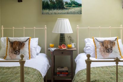 A twin bedroom at Honey Buzzard Farmhouse, Devon