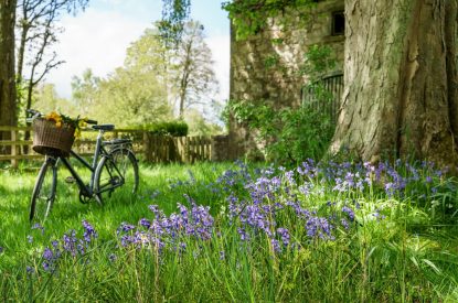 The garden in spring at Ermine, Scotland