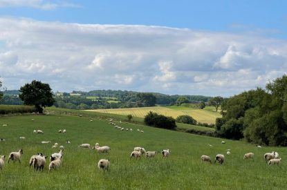 Rolling countryside views at The Blended Barn, Cotswolds