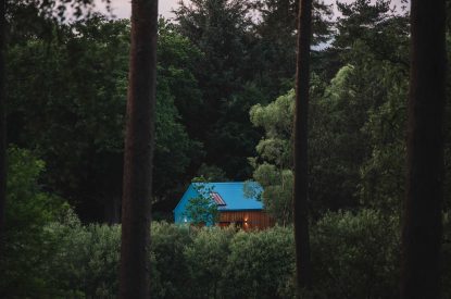 The woodlands surrounding Ermine, Scotland