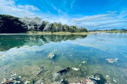 The waters edge overlooking the boats at Brickworks and Vines, Isle of Wight