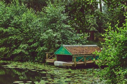 The lake covered in lily pads at Victoria Lodge, Welsh Borders