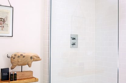 The shower room at The Guinea Fowl, Ledbury