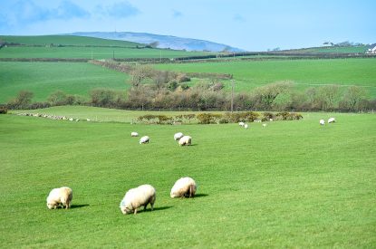 The local area at Y Wenffrwd, Abersoch