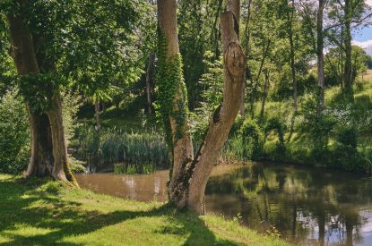 Outdoor space at Stargazer, Malvern Hills