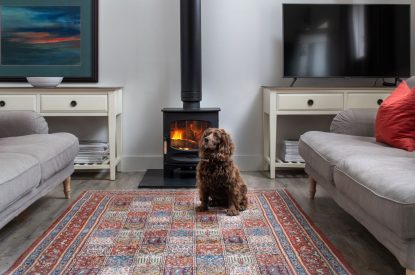 The sitting room at Bix Cottage, Chiltern Hills