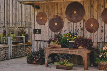 The grounds at Puddle Duck Cottage, Somerset