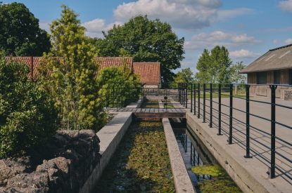 The grounds at Puddle Duck Cottage, Somerset