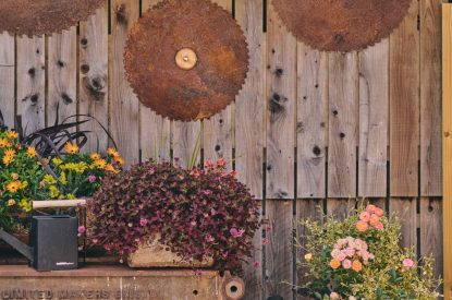 The grounds at The Granary, Somerset