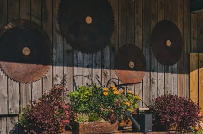 The grounds at Whispering Leaves, Somerset