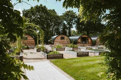 The grounds at Thyme Pyggy, Hampshire