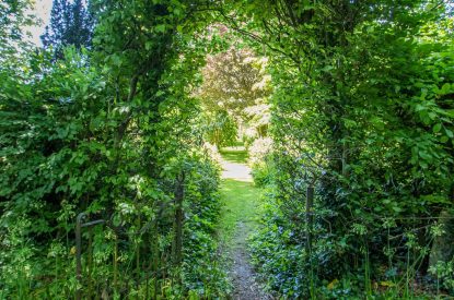 The garden at The Creamery, Somerset