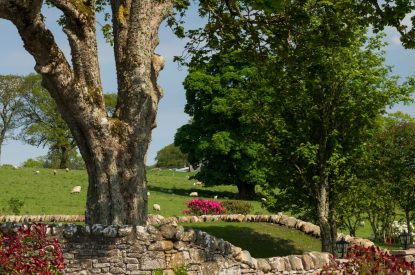 The garden at Heatherglen House, Perthshire