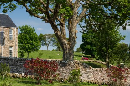 The garden at Heatherglen House, Perthshire