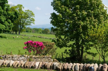 Countryside views at The Wee Hoose, Perthshire