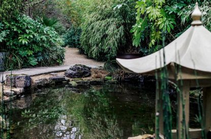 The gardens at Katsura House, Cotswolds