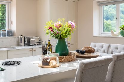 The kitchen at Swn y Nant, Wrexham