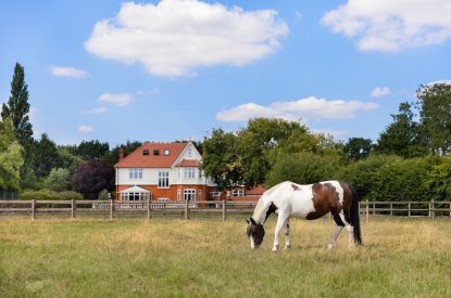 View to Merry Manor, Essex