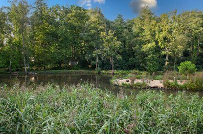 Lake views at The Bridge House, Hampshire