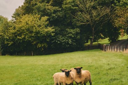 Fields surrounding Hay Barn, Powys