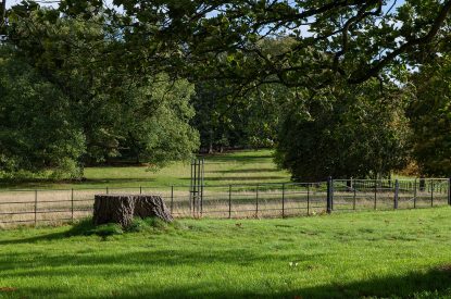 The grounds at Wyvern House, Shropshire