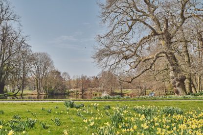 gardens1 - Lakeside Cottage - Cheshire cottages