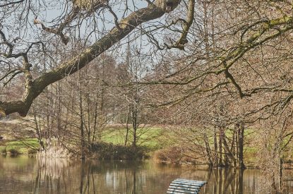 gardens2 - Lakeside Cottage - Cheshire cottages