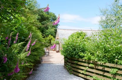 The garden path to Fern House, Devon