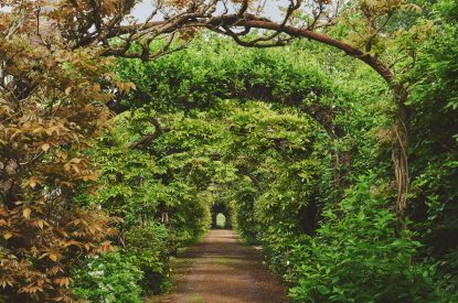 The gardens at Keats Cottage, Cotswolds