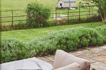 The garden at Apple Tree Cottage, Cotswolds