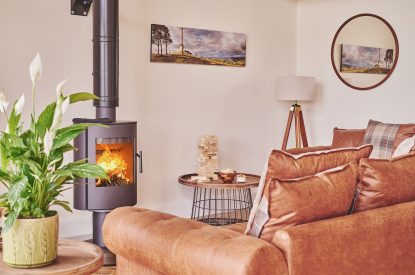 The wood burner at Upper Tumble Cottage, Shropshire Hills