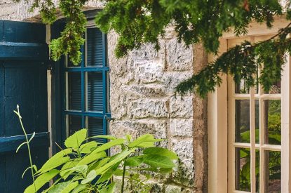 A potted plant in the shared courtyard at Fritillaria Cottage, Vale of Glamorgan