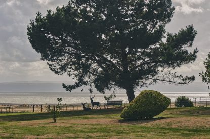 Sea views from the shared garden at Fritillaria Cottage, Vale of Glamorgan
